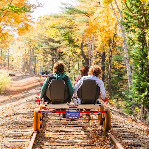 Kids ride a rail cart down autumn forest tracks, backs to camera, amid golden fall leaves.