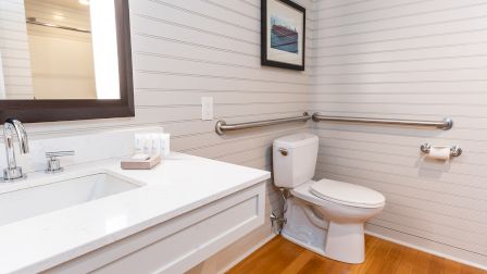 A clean bathroom with a white vanity and sink, a low-profile mirror, a toilet beside a wall with horizontal shiplap, and wooden flooring.