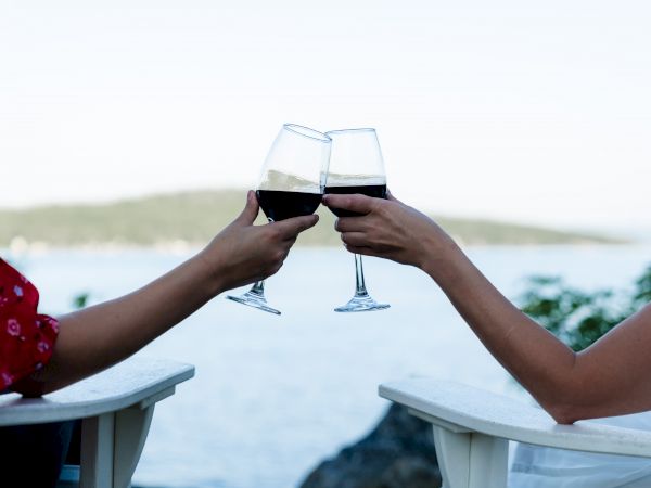 Two people clinking glasses of red wine, seated outdoors with a scenic water view in the background.