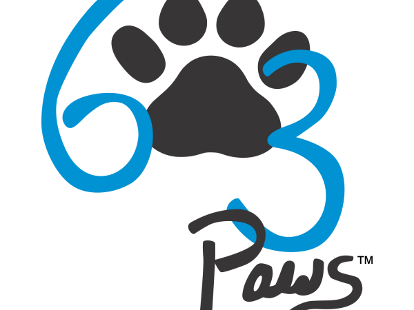 The image shows the text "6 3 Paws" with a black paw print in the center and the numbers drawn in blue.