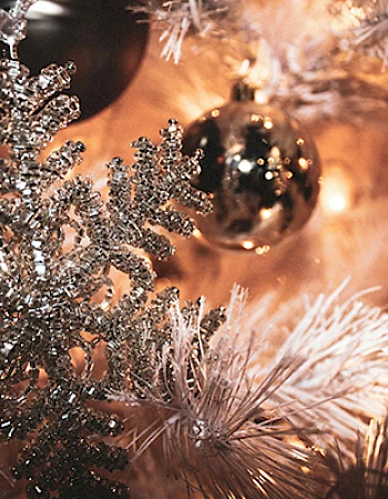 Mill Falls at the Lake