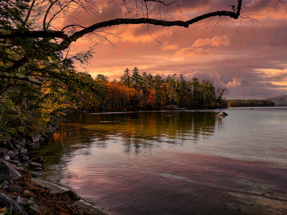 A tranquil lakeside at sunset with autumn trees, calm water, and bare branches reaching across the sky.