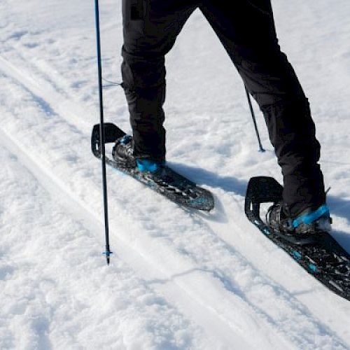 A person walking in snow wearing snowshoes, using poles for support, creating tracks in the snow.