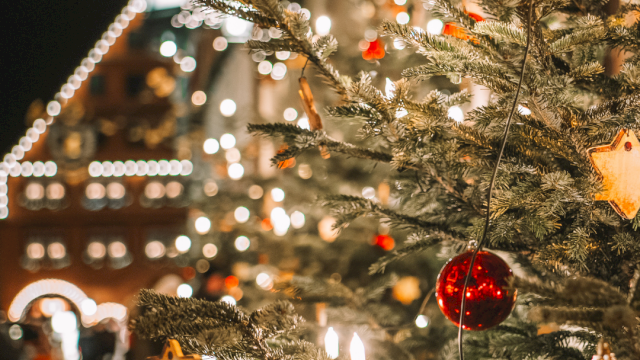 A warmly lit Christmas tree with red and gold ornaments and twinkling lights in a festive, cozy night scene.