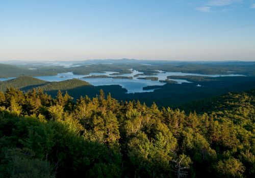 A panoramic view from a forested hill overlooks a mosaic of lakes and islands stretching to the horizon at sunset.