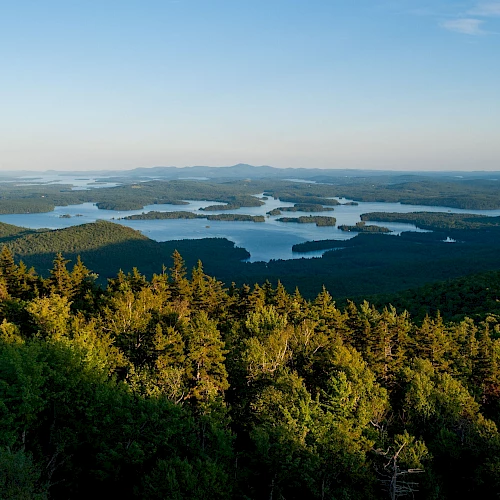 A panoramic view from a forested hill overlooks a mosaic of lakes and islands stretching to the horizon at sunset.