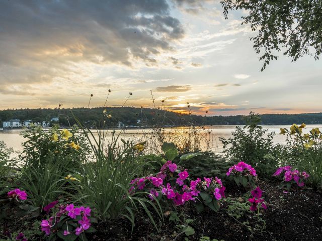 A tranquil lakeside scene with vibrant pink and yellow flowers in the foreground, under a partly cloudy sky at sunset.