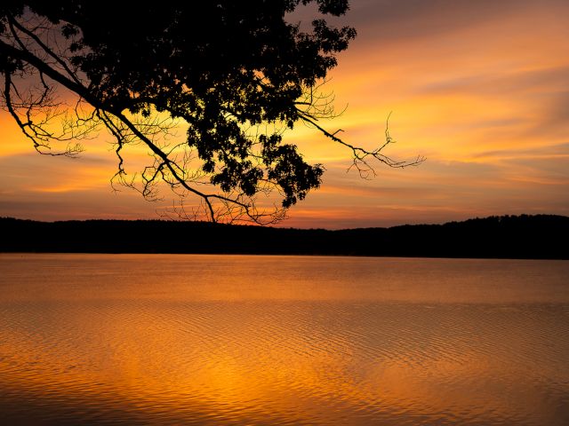 A calm lake at sunset with silhouetted tree branches over the water, glowing orange reflections.