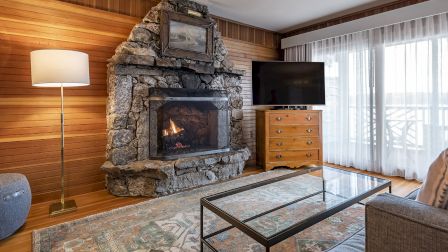 Cozy living room with a stone fireplace, wooden paneled walls, a glass coffee table, a flat-screen TV on a chest of drawers, and a floor lamp by a couch.