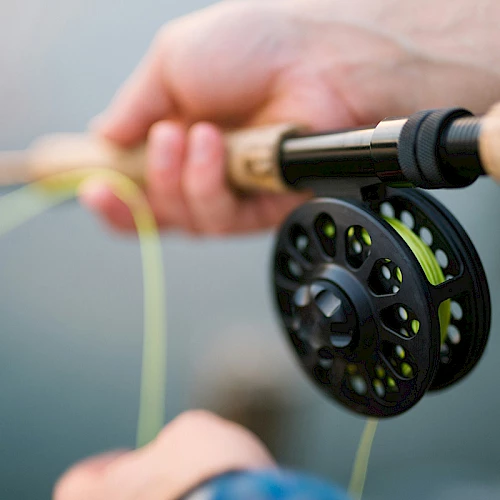 A person is holding a fishing rod equipped with a fly reel, with yellow fishing line visible, suggesting they are fly fishing.