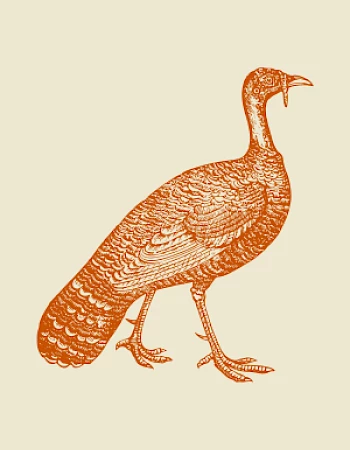 Mill Falls at the Lake