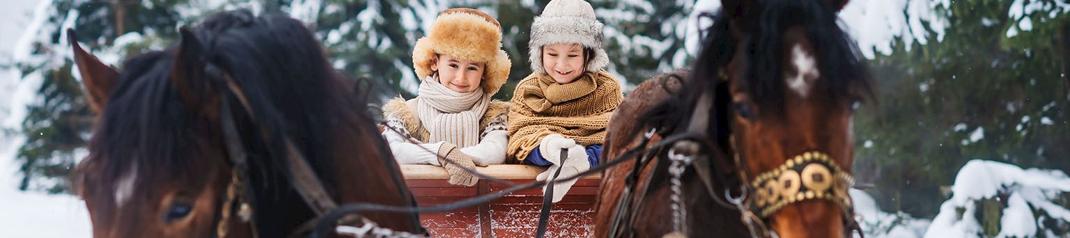 Snowy scene: two children ride in a wooden sleigh pulled by two horses through a winter forest, bundled in warm coats and hats.