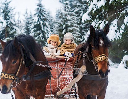 Snowy scene: two children ride in a wooden sleigh pulled by two horses through a winter forest, bundled in warm coats and hats.