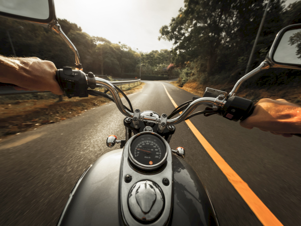 Motorcycle handlebars view from rider, open road ahead with trees, sunny weather, chrome details, and speedometer in focus.