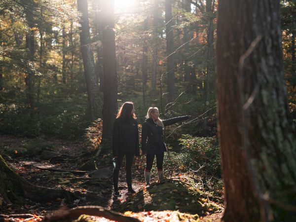 Two people walk through a sunlit forest, tall trees around, leaves on the ground, soft light filtering through the canopy.