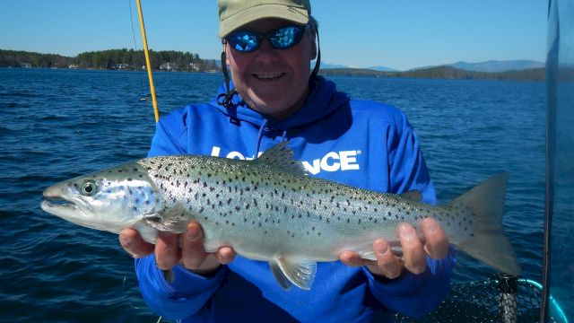 Caught a beautiful brown trout, sporting spots and a sleek body, while on calm blue waters with a sunny sky today.