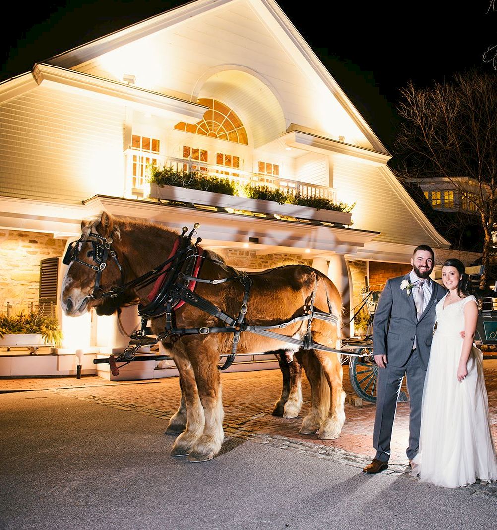 A couple in formal attire posing by a horse-drawn carriage in front of a lit, white building at night. 120 characters?